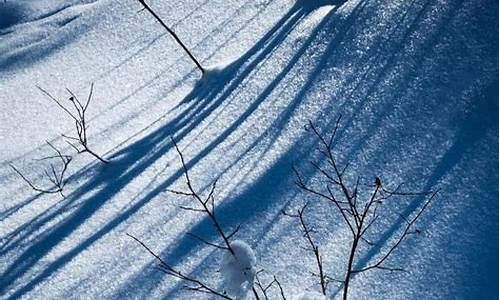 飘雪浪漫诗词_雪花飘飘唯美诗句