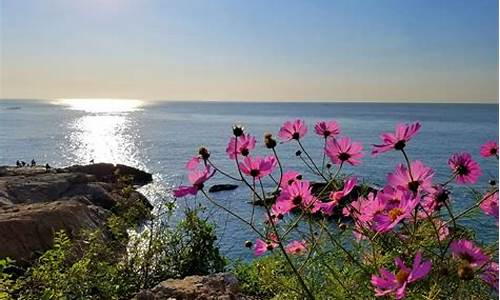 面朝大海春暖花开海子_面朝大海春暖花开海子什么时候写的