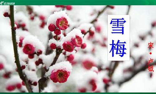 雪梅古诗的意思_雪梅古诗的意思翻译