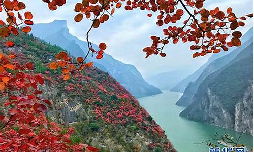 红叶青山水急流_红叶青山水急流全诗