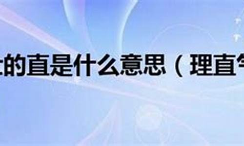 理直气壮的意思_理直气壮的意思解释