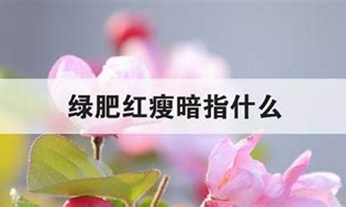 绿肥红瘦暗指什么_知否绿肥红瘦暗指什么